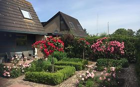 Near Amsterdam, The Hague, Leiden And North Sea